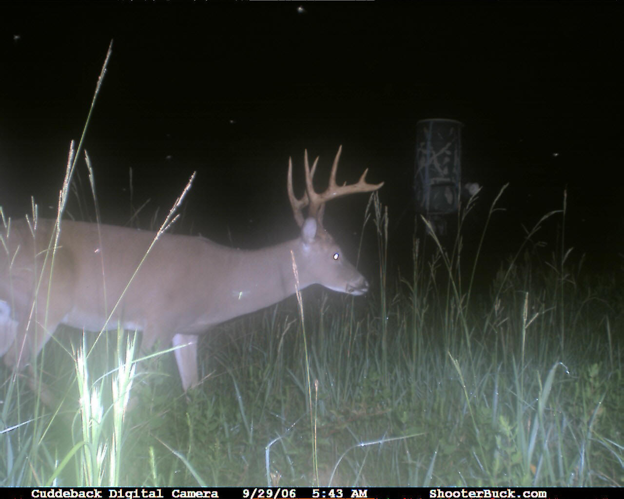 Monster Trophy Whitetail Hunting Lodge whitetail Hunting Adventures.